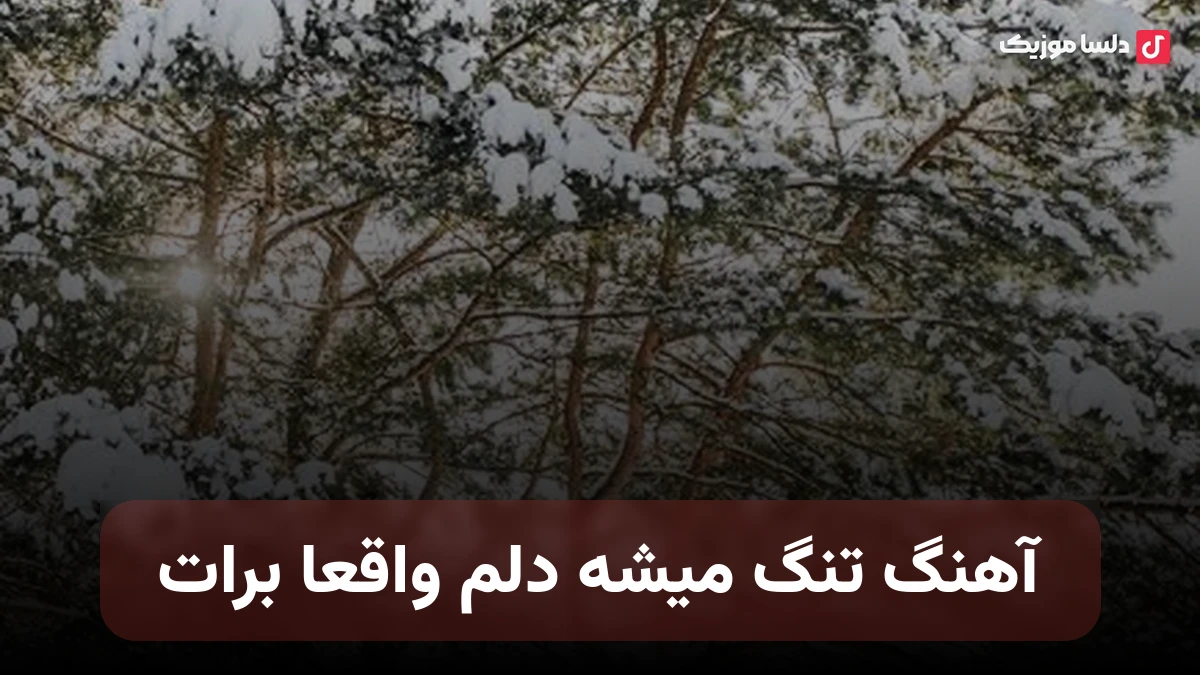  تنگ میشه دلم واقعا برات با صدای زن